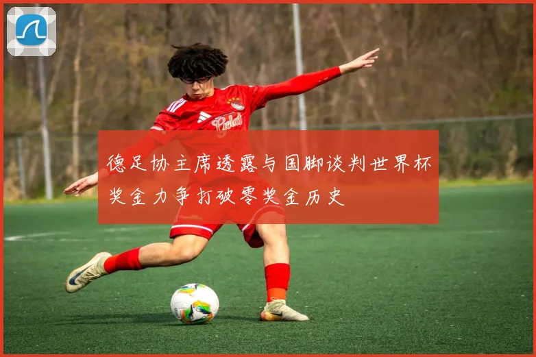 德足协主席透露与国脚谈判世界杯奖金力争打破零奖金历史
