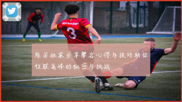 陈芳独家分享攀岩心得与技巧助你征服高峰的秘密与挑战