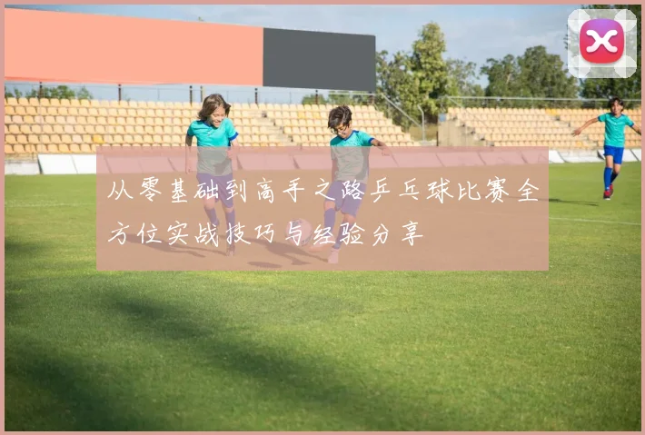 从零基础到高手之路乒乓球比赛全方位实战技巧与经验分享