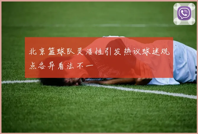 北京篮球队灵活性引发热议球迷观点各异看法不一